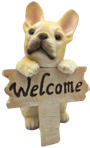 Dog Product