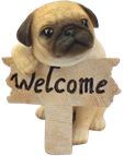Dog Product