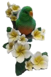 Bird Product