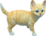 Cat Product