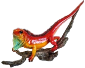 Lizard Product