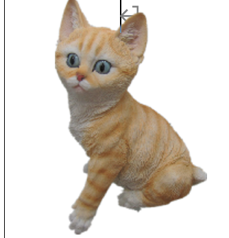 Cat Product