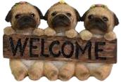 Dog Product