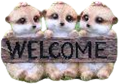 Meerkat Product