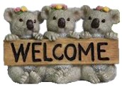 Koala Product