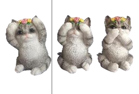 Cat Product