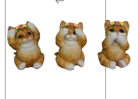 Cat Product