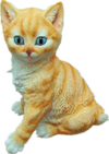 Cat Product