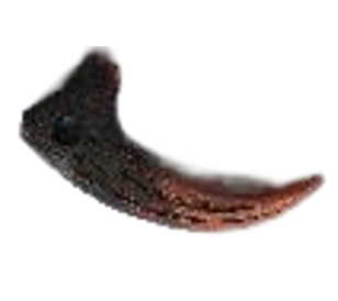 Dinosaur Product