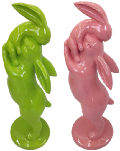 Rabbit Product