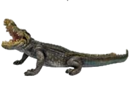 Crocodile Product
