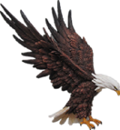 Bird Product