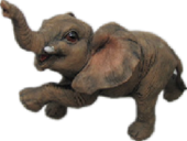 Elephant Product