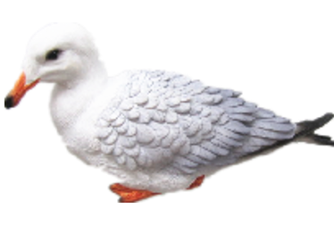 Bird Product