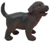 Dog Product