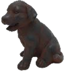Dog Product