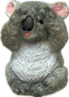 Koala Product