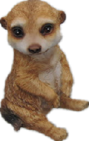 Meerkat Product