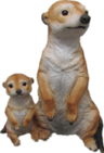 Meerkat Product