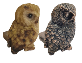 Owl Product