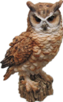 Owl Product