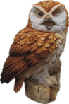 Owl Product