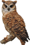 Owl Product