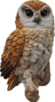 Owl Product