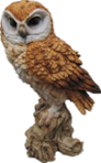 Owl Product