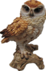 Owl Product
