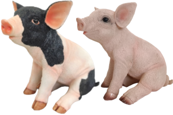 Pig Product