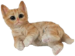 Cat Product