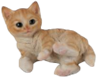 Cat Product