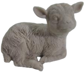 Sheep Product