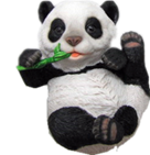 Panda Product