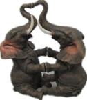 Elephant Product