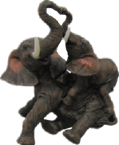 Elephant Product