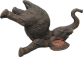 Elephant Product