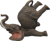 Elephant Product