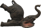 Elephant Product