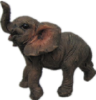 Elephant Product