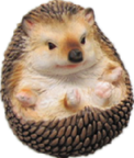 Hedgehog Product