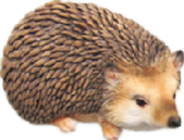 Hedgehog Product