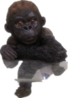 Chimpanzee Product