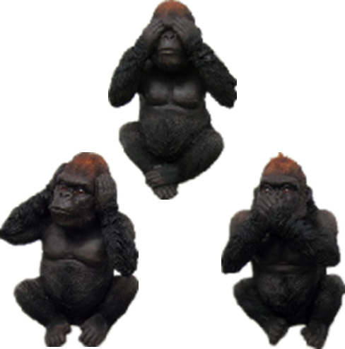 Chimpanzee Product