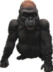 Chimpanzee Product