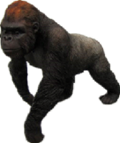 Chimpanzee Product