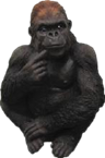 Chimpanzee Product