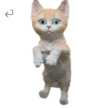Cat Product