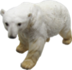 Polar Bear Product